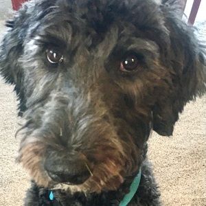 Meet your Posher, Julie